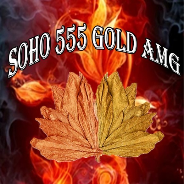 Soho 555 Gold  AMG